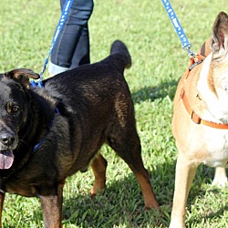 Thumbnail photo of Hershey & Snickers #2