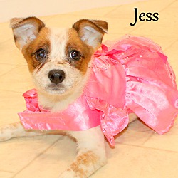 Thumbnail photo of Jess ~ meet me! #2