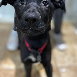 Photo of Tilly