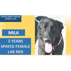 Photo of MILA