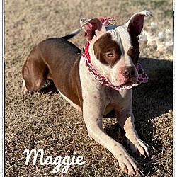 Thumbnail photo of Maggie #4