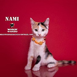 Photo of NAMI