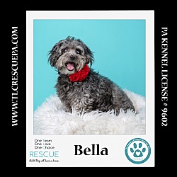 Thumbnail photo of Bella 042724 #1
