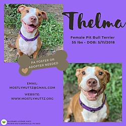 Thumbnail photo of Thelma #1