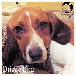 Thumbnail photo of Dizzy Dre #1