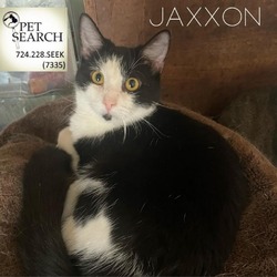 Photo of Jaxxon