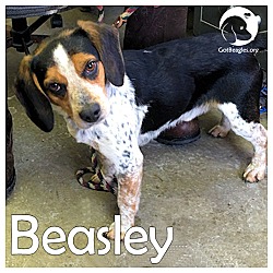 Thumbnail photo of Beasley #1