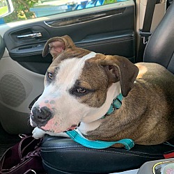 Photo of Jax
