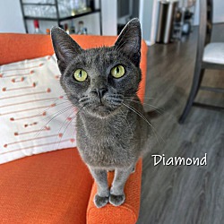 Thumbnail photo of Diamond #2