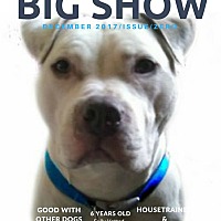 unbreakable bullies rescue