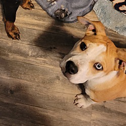 Photo of Bonnie