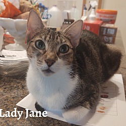 Photo of Lady Jane