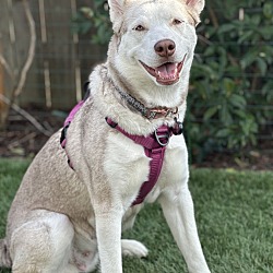 Photo of Freyja