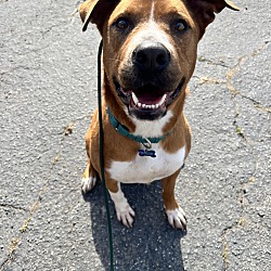 Photo of Gus