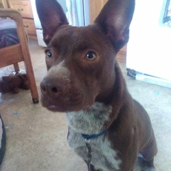 Photo of Coco