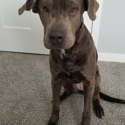 Photo of Daisy Mae
