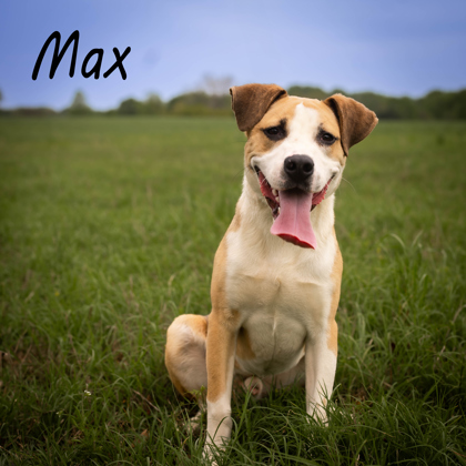 Photo of Max*