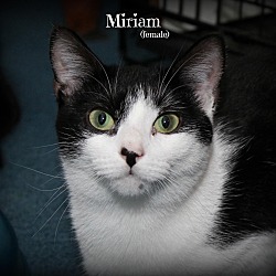 Thumbnail photo of Miriam #4