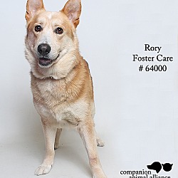 Thumbnail photo of Rory (Foster) #4