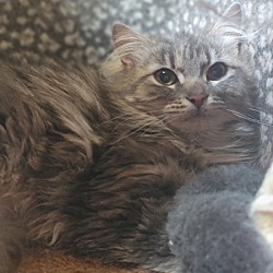 Photo of Fuzzy