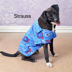 Thumbnail photo of Strauss #2