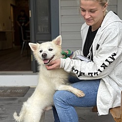 Thumbnail photo of LENNON 20 Pounds   FOSTERED IN NEW JERSEY #4