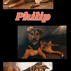 Photo of Phillip