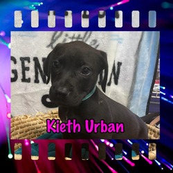 Thumbnail photo of Kieth Urban #2