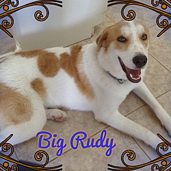 Photo of Big Rudy