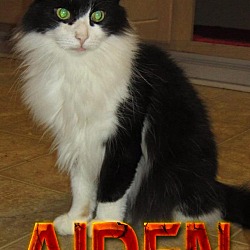 Thumbnail photo of Aiden #1