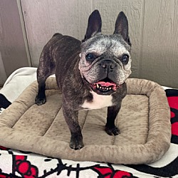 Photo of Tootsie