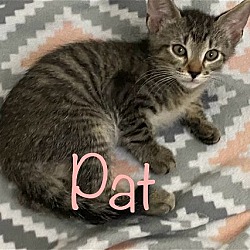 Photo of Pat
