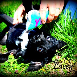 Thumbnail photo of Lacey ~ meet me! #3