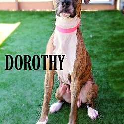 Thumbnail photo of Dorothy (Dottie) #4