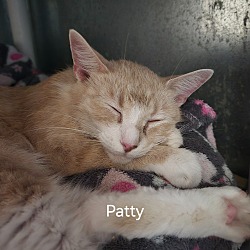 Photo of Patty