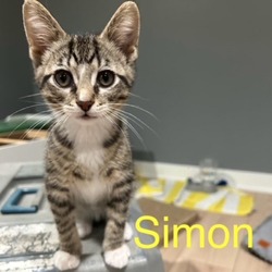 Photo of Simon