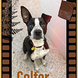 Thumbnail photo of Colter #2