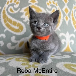 Photo of Reba McIntire
