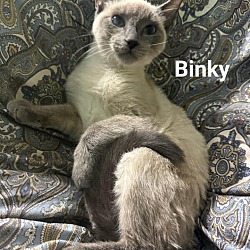 Thumbnail photo of Binky #1