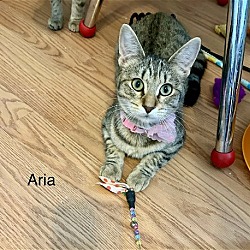 Thumbnail photo of Aria #3