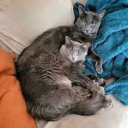 Photo of Babs and Smokey