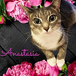Photo of Anastasia