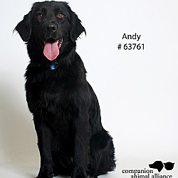 Thumbnail photo of Andy  (Foster Care) #4