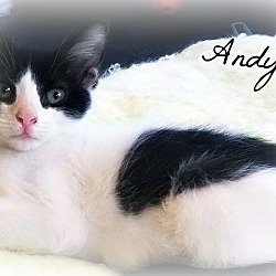 Thumbnail photo of Andy #2