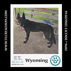 Thumbnail photo of Wyoming 062224 #4