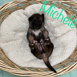 Thumbnail photo of Michele #4