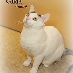 Thumbnail photo of Gilda #3