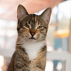 Thumbnail photo of Persia #1