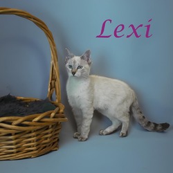 Thumbnail photo of Lexi C24-266 #3