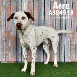 Photo of AERO